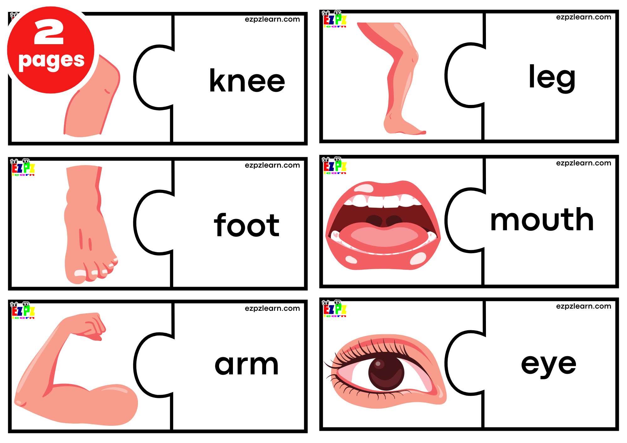 Body Puzzle Match Game. 6 Words per page. Free PDF Download
